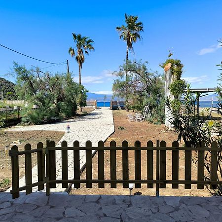 Palm Tree House By The Beach Skhoínos 외부 사진