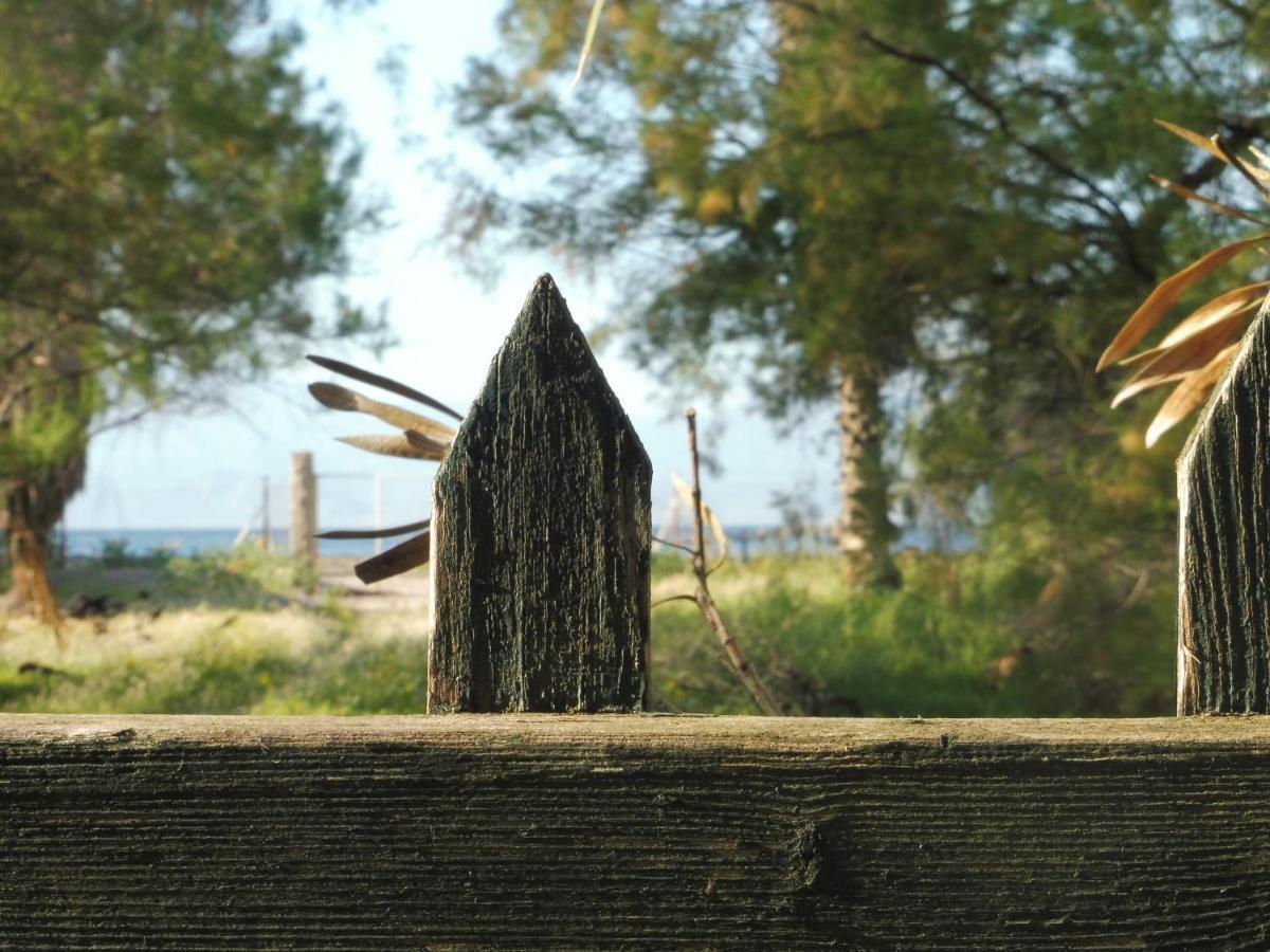 Palm Tree House By The Beach Skhoínos 외부 사진